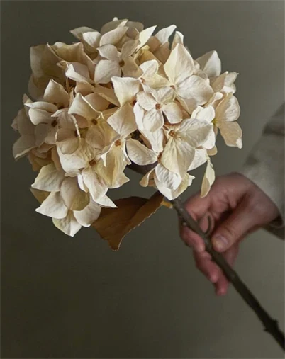 Bloomingville - Hydrangea Stilk, Natur, Kunstige Blomster